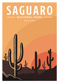 Saguaro National Park