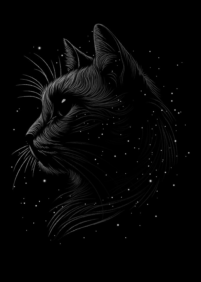 Space cat