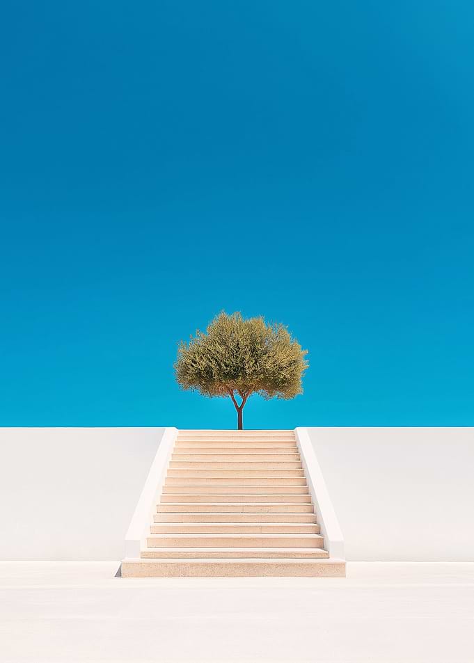 Tree on Stairs