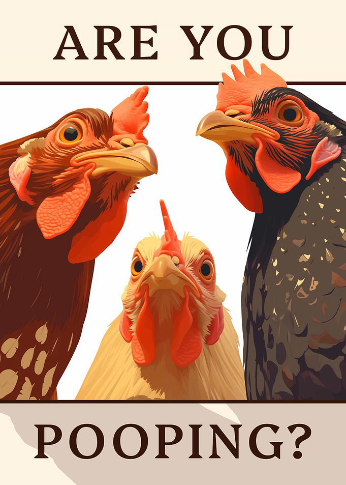 'Are You Pooping?' - Chickens