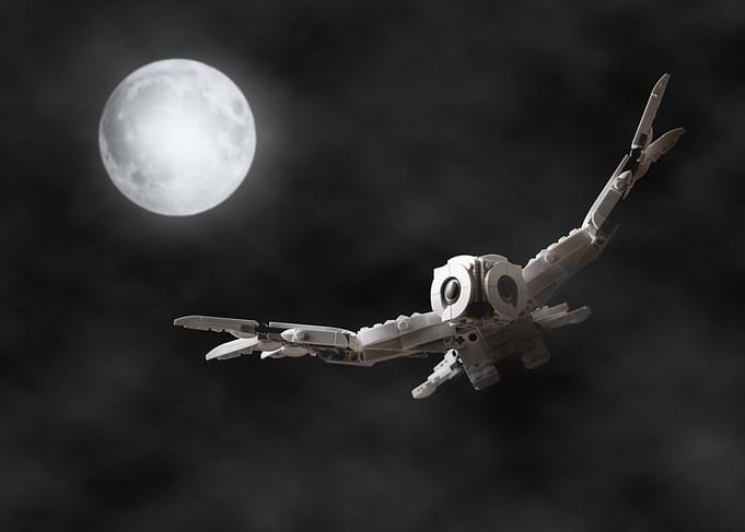 Hedwig Moon