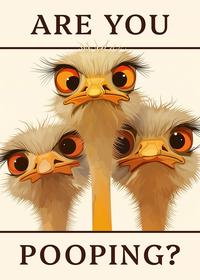 'Are You Pooping?' - Ostriches, Funny Bathroom Poster
