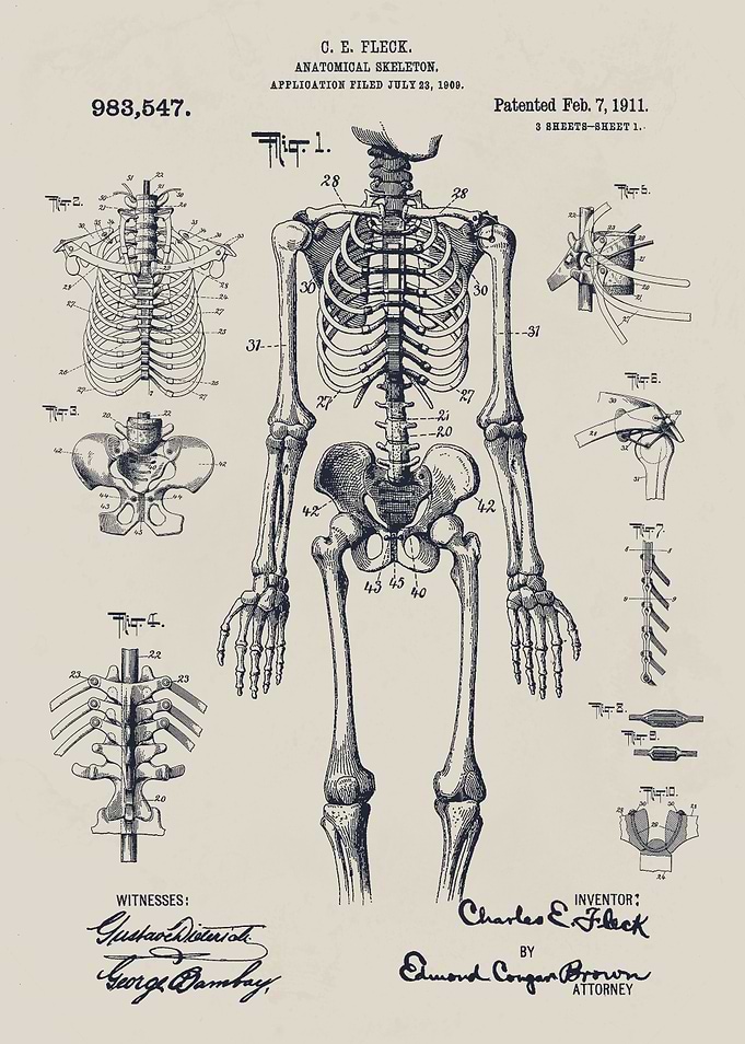 Human Skeleton Patent Print
