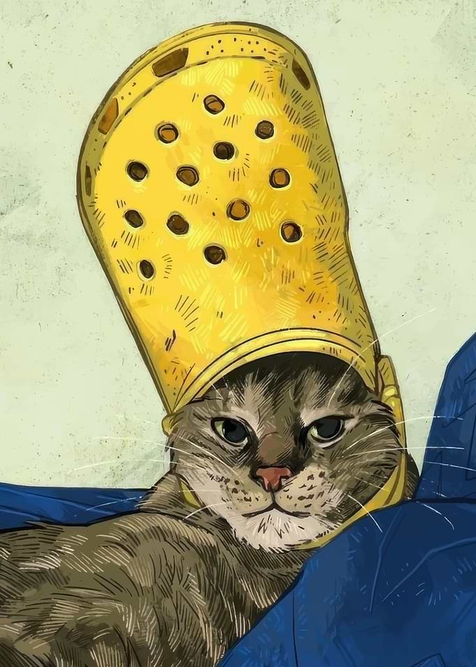 Cat in a Croc Helmet