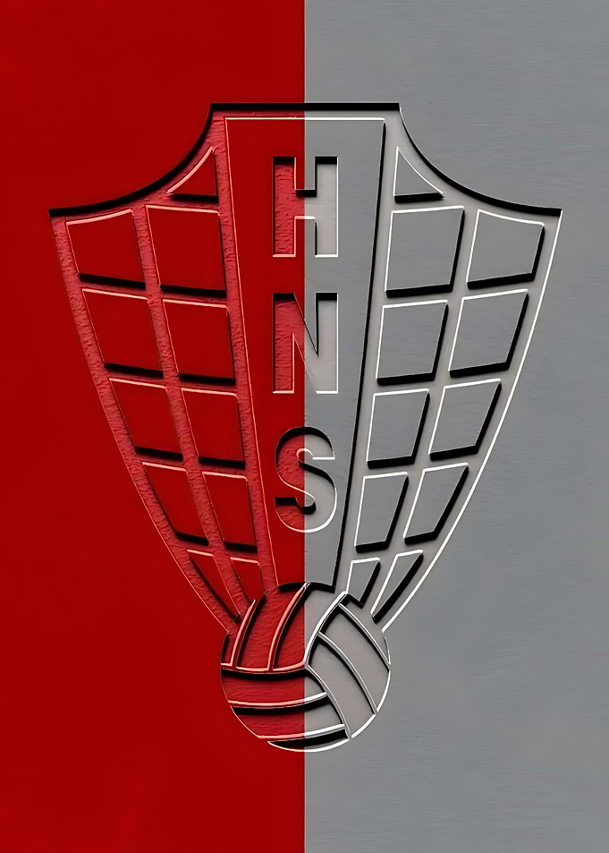 HNS Volleyball Logo