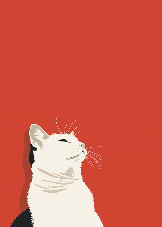 White Cat on Red Background