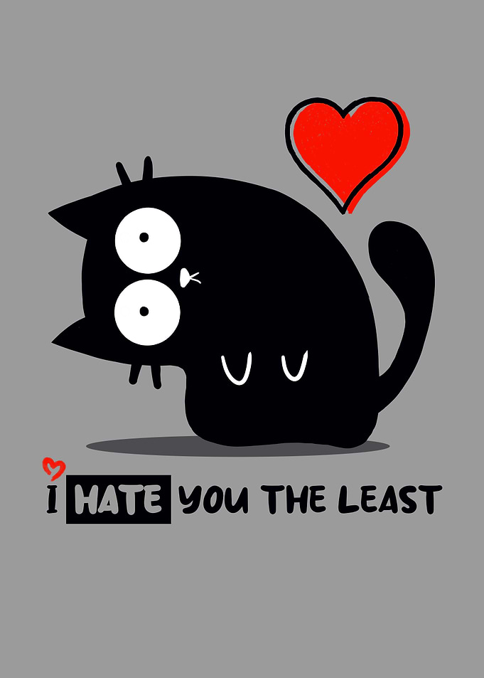 Black Cat - I HATE YOU THE LEAST