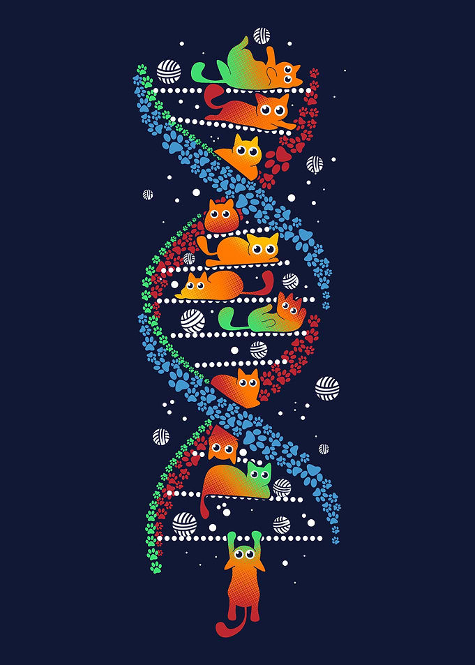 Cats DNA