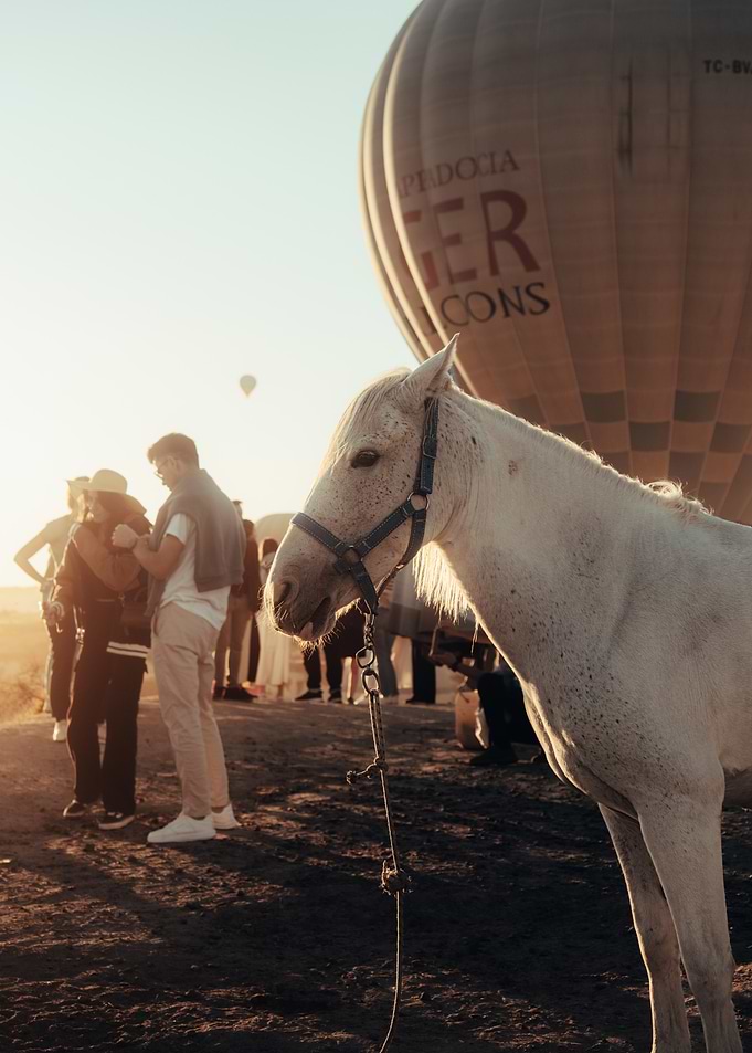 Golden hour in Cappadocia.