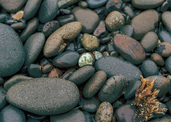 Sea Stones