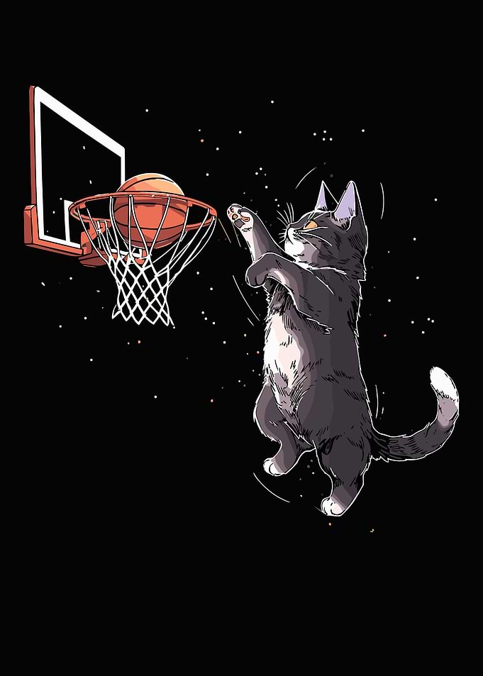 Cat Space Dunk