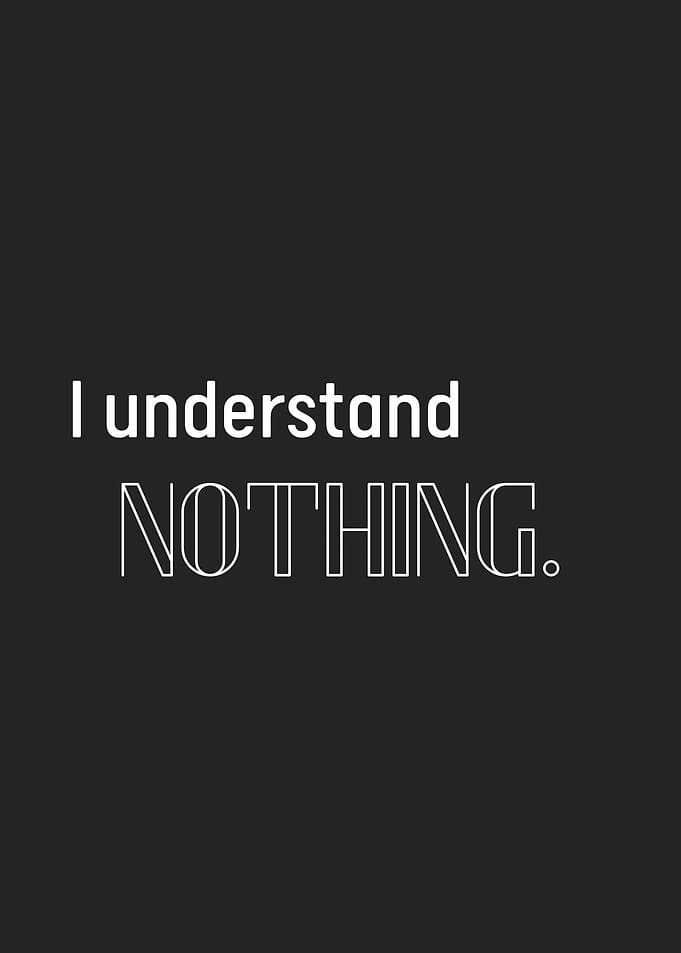 I understand NOTHING
