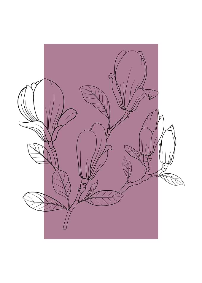 Magnolia Branch Line Art