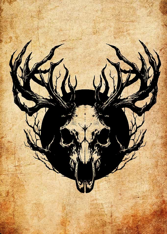 Black Stag Skull
