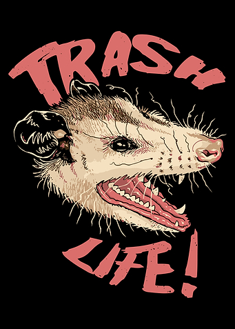 Trash Life Opossum