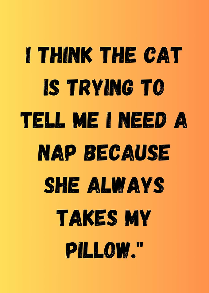 Cat Nap Quote