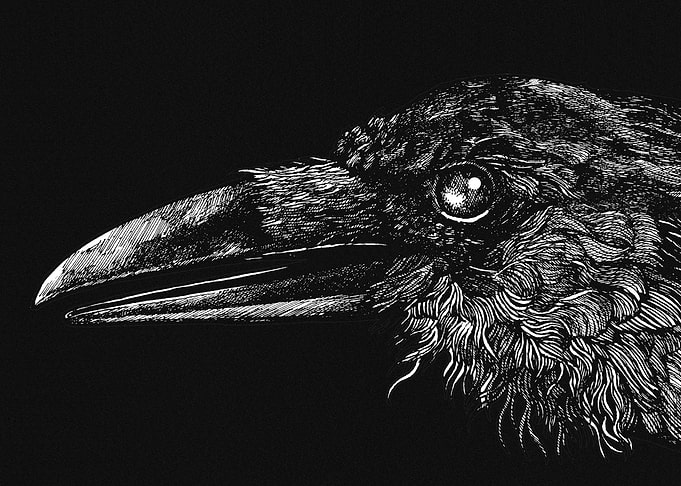 Raven : Symbol of Courage