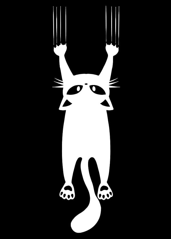 Cat Hanging On