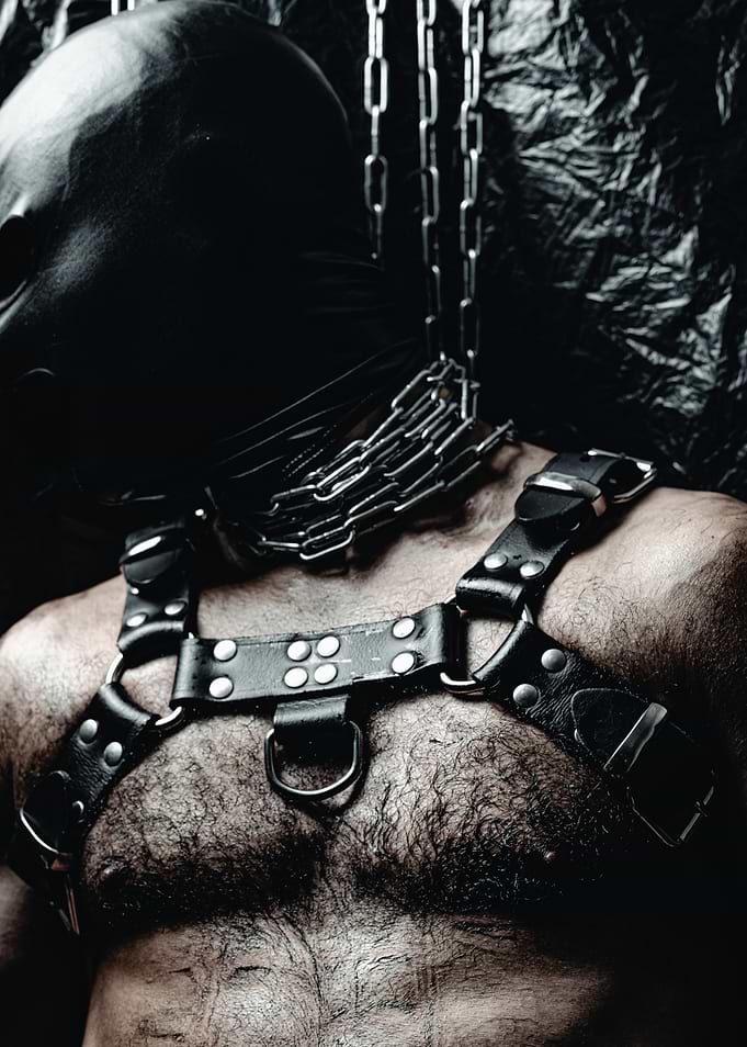 Leather Harness and Chains