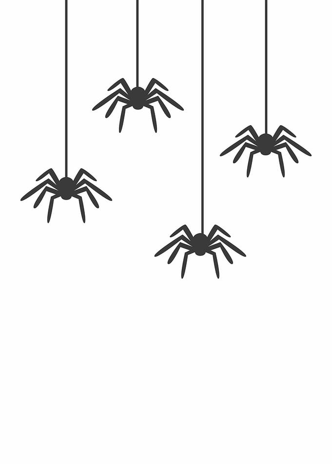 Hanging Spiders