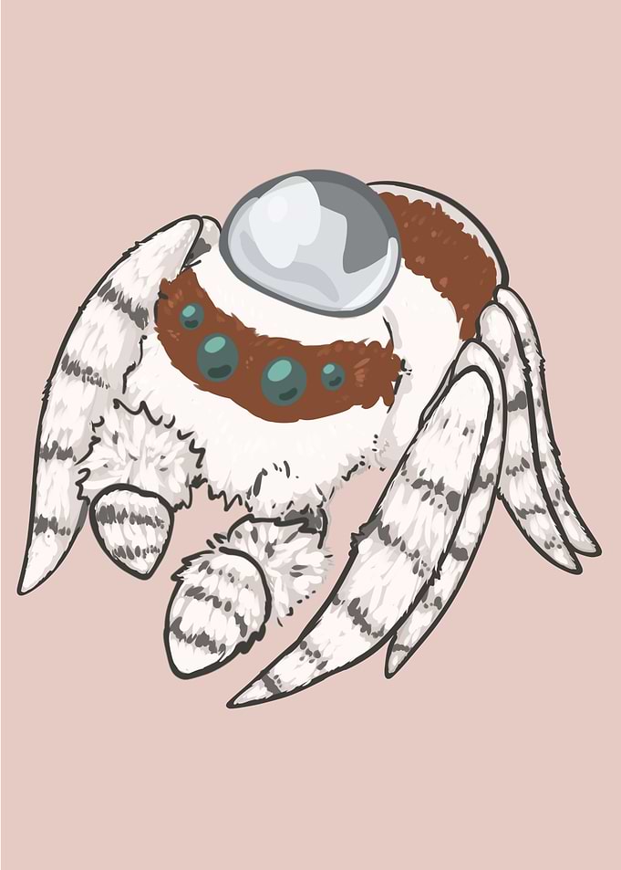 Jumping Spider with Water Drop Hat