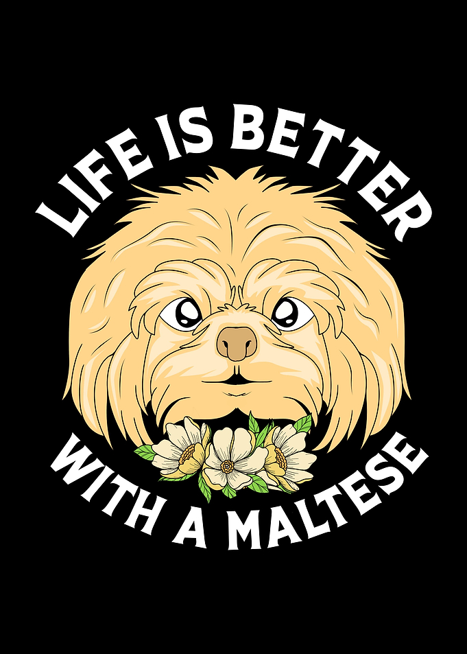 Maltese Life Is Better