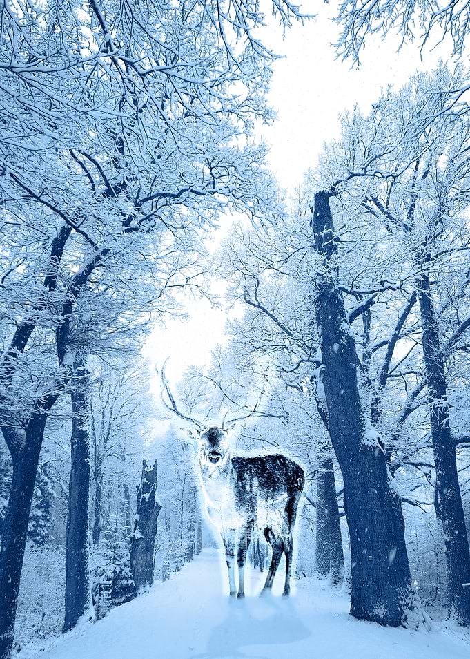 Snowy Forest Deer