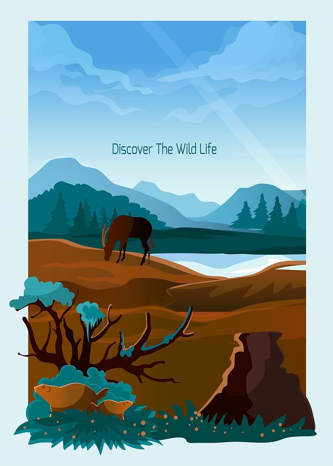 Wildlife Landscape