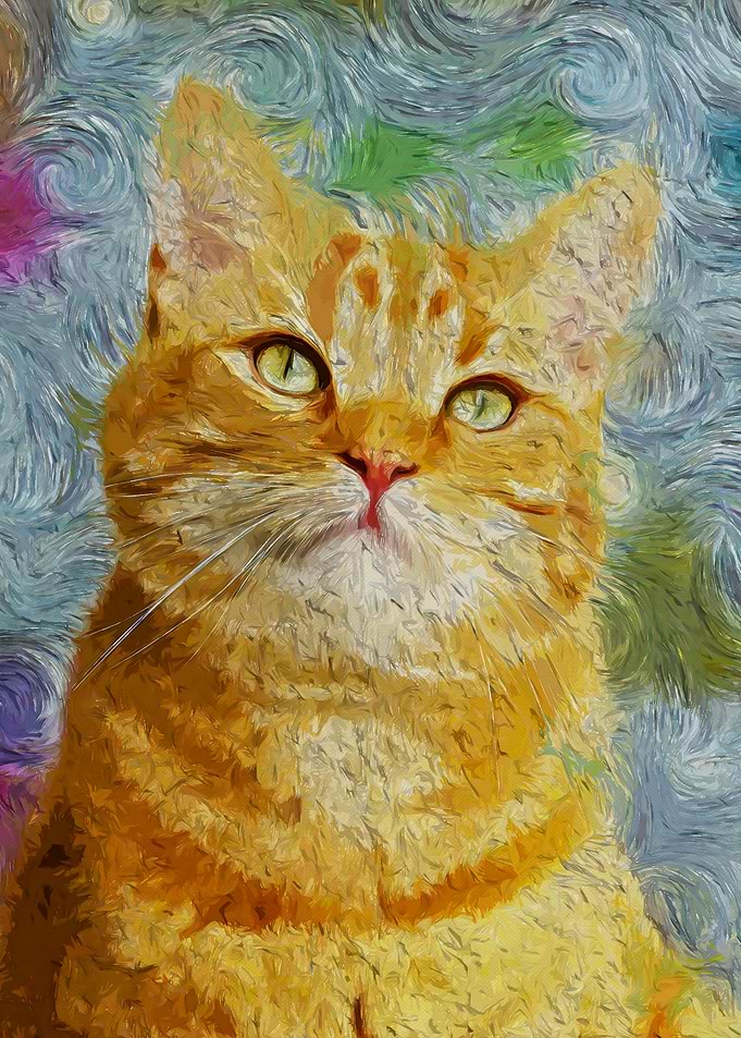 Orange Cat Portrait