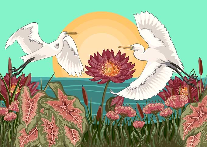 White Cranes