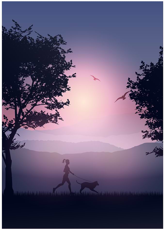 Silhouette of Woman Running with Dog