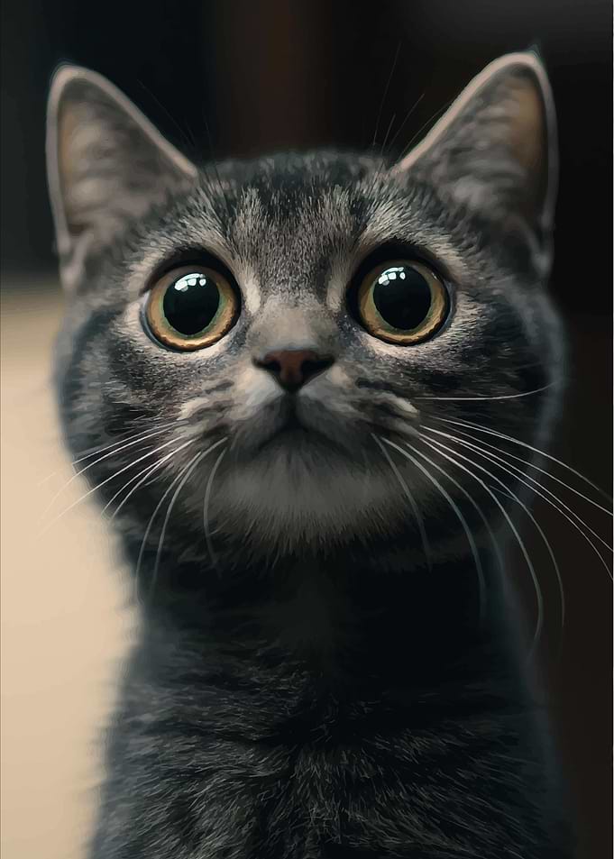Cute Cat