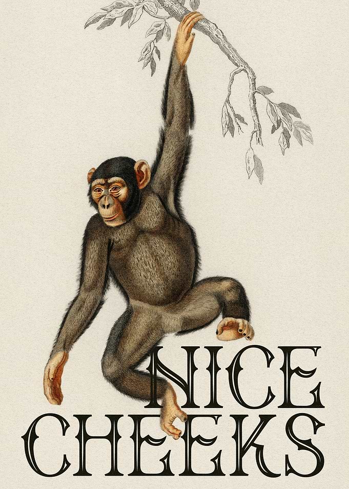 Chimpanzee Nice Cheeks