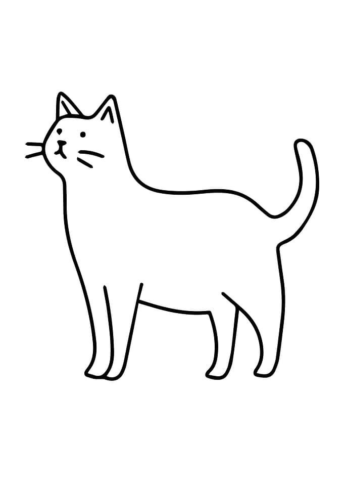 Cat kitty Illustration
