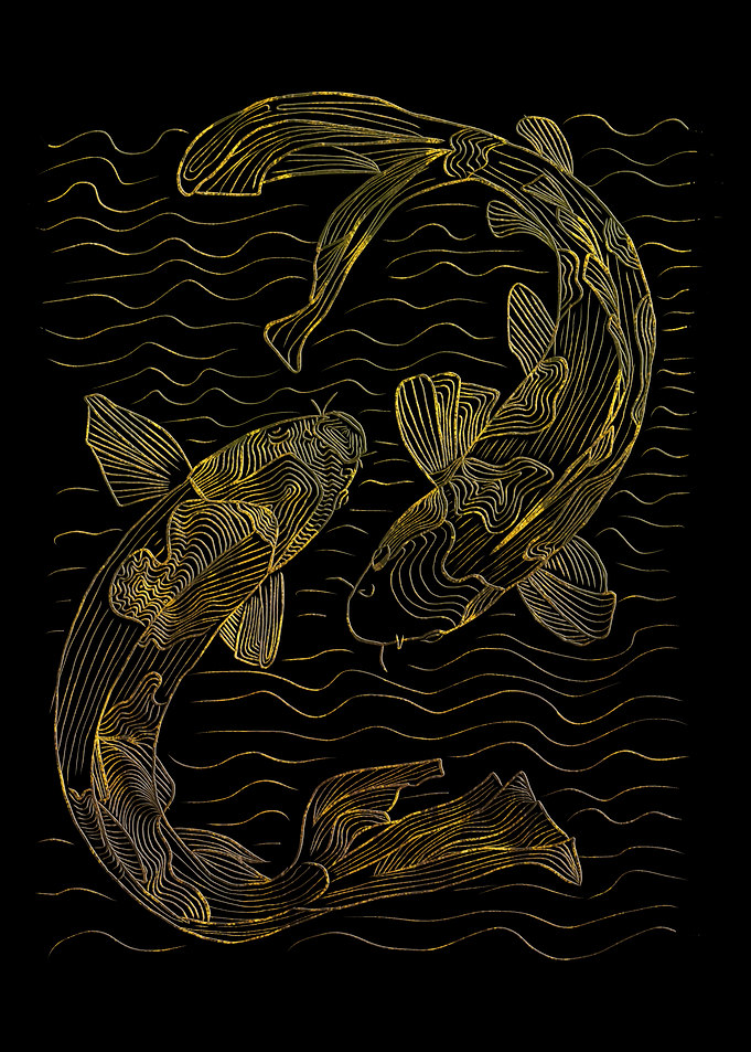 Golden Koi Fish
