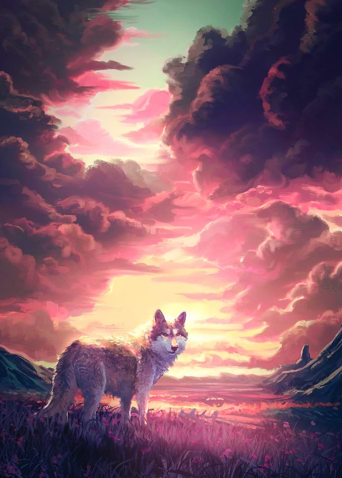 Wolf at Sunset