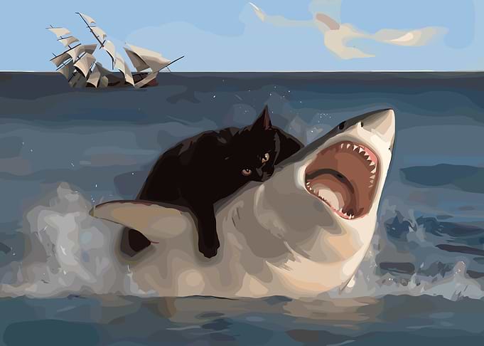 Cat Riding Shark