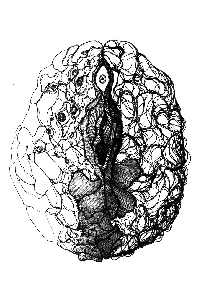Sapiophile