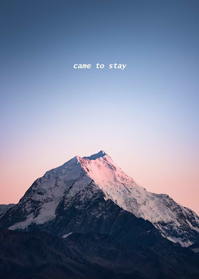 Came to stay