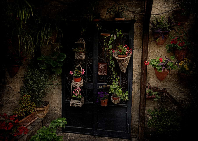 Flower Pots and Doorway