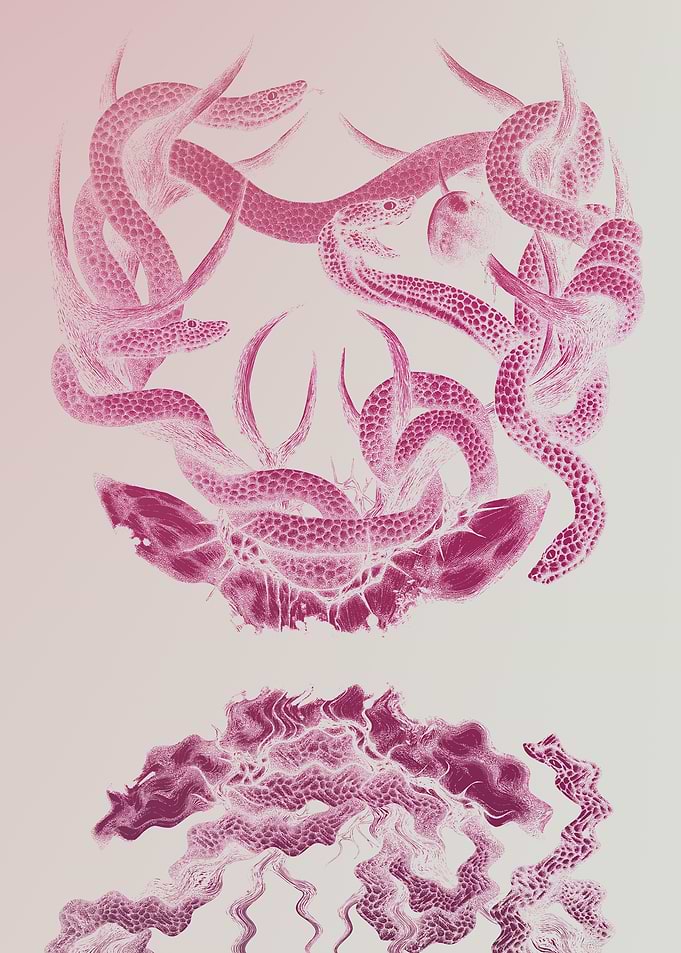 Pink Snake Abstract Art