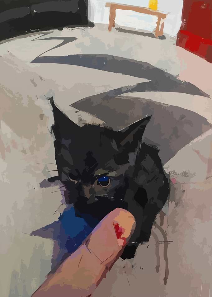 Black Kitten with Blue Eyes