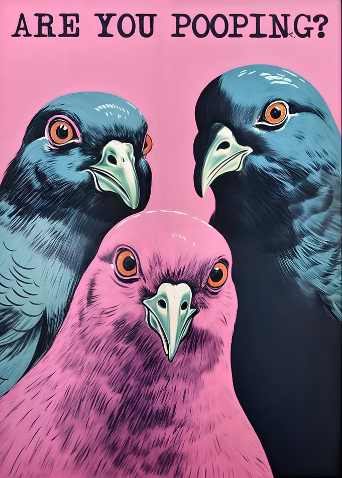 funny Pigeons are you pooping