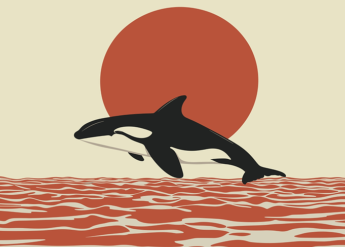 Orca Sunset