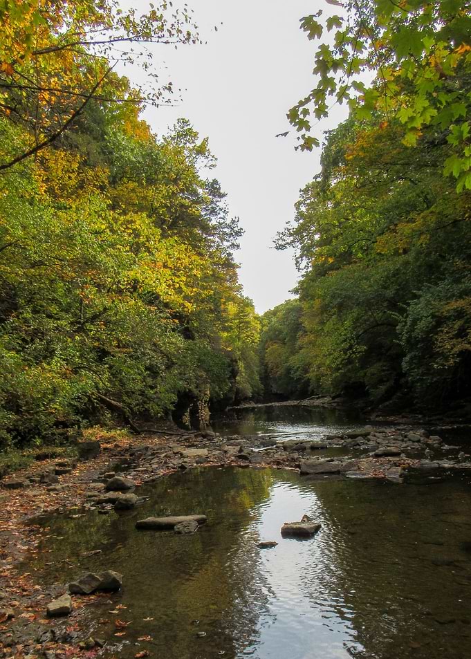 Autumn River Scene