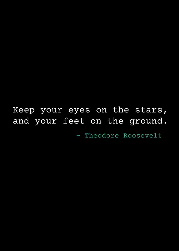 Theodore Roosevelt Quote