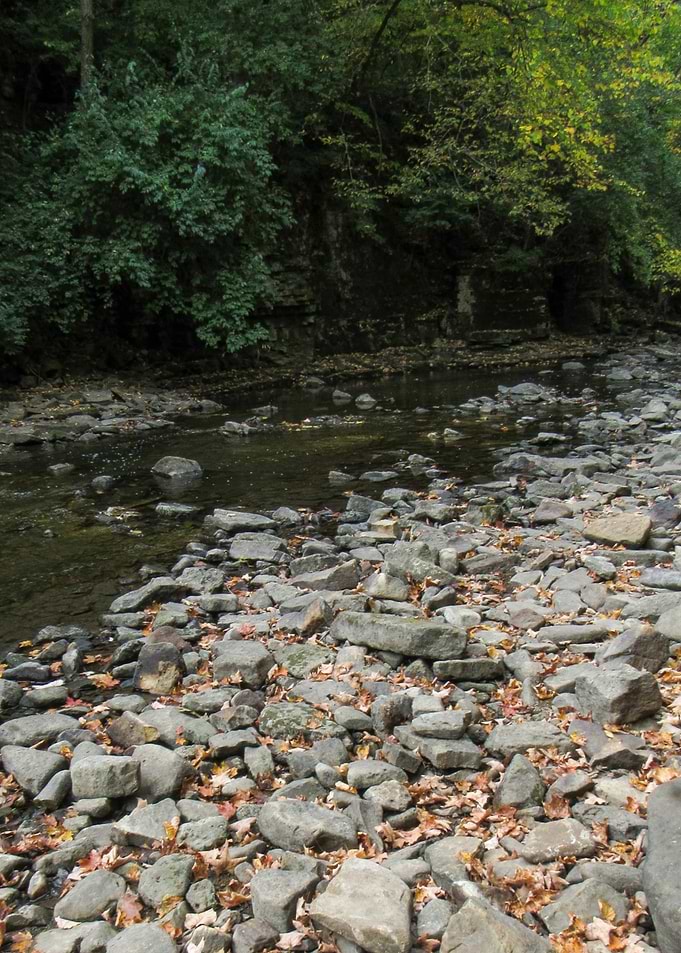 Rocky Creek Bed