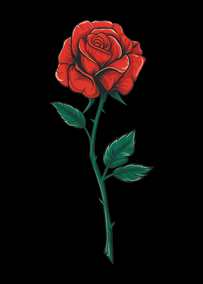 Single Red Rose Illustration