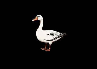Latest drop
