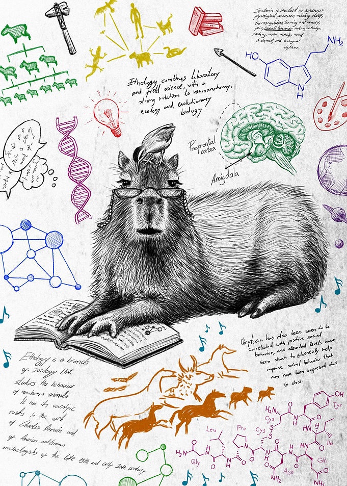 Capybara Studying Ethology W